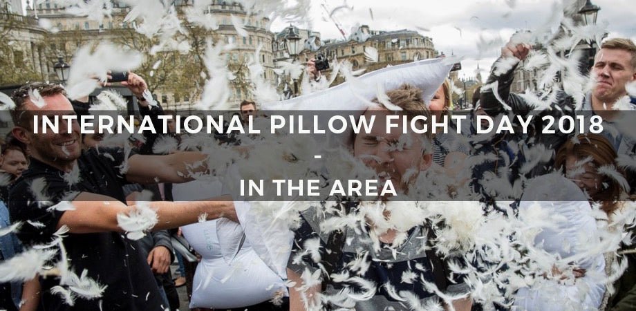 International Pillow Fight Day 2018 | In The Area - Number Six